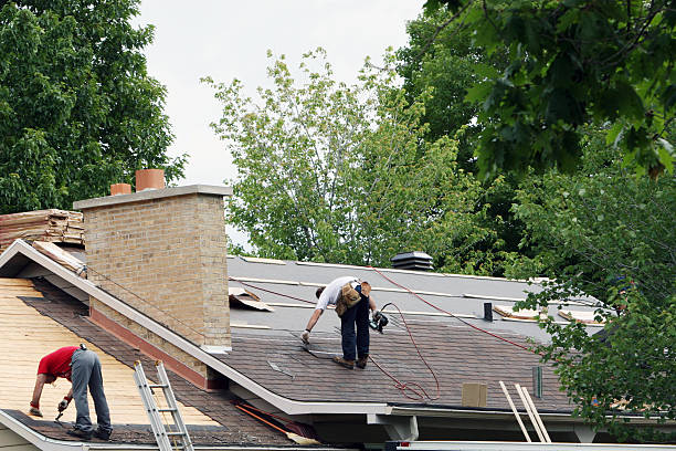 Professional Roofing Contractor in Lexington, WA